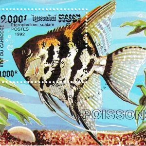 Kamboçya 1992 Balıklar Serisi Blok Pulu - Online Mezatta!