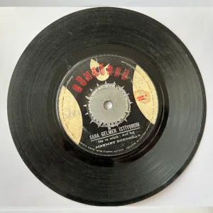 mehmet bozdogan 0001