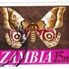 Zambiya (ZAMBIA) 1971 Büyük Güve Pulu - Online Mezatta!