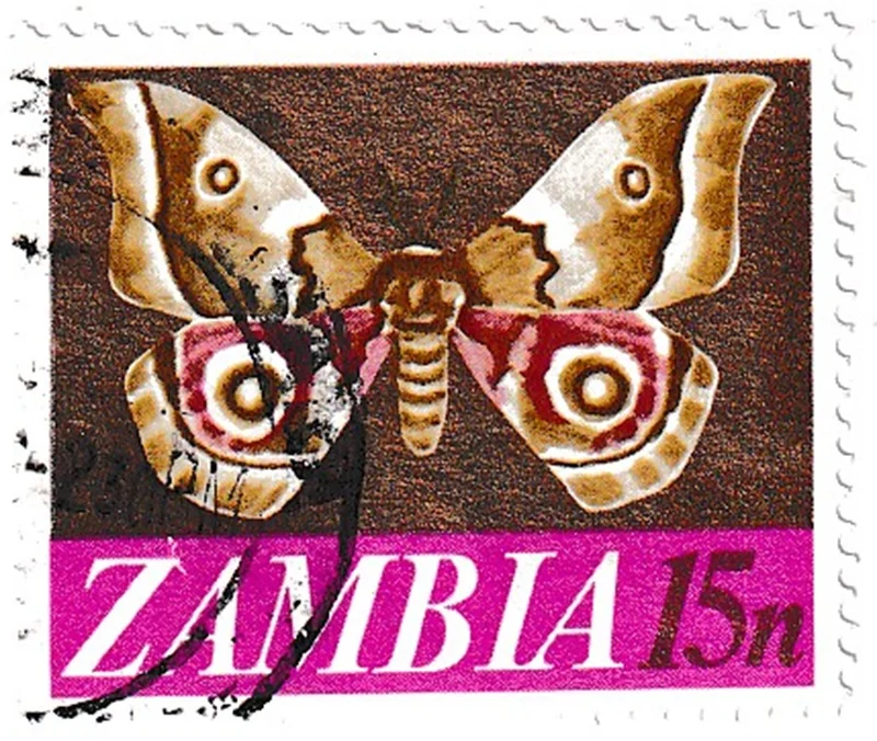 Zambiya (ZAMBIA) 1971 Büyük Güve Pulu - Online Mezatta! 1 Zambiya (ZAMBIA) 1971 Büyük Güve Pulu - Online Mezatta!