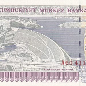 1 Ytl Kagıt Para (2)