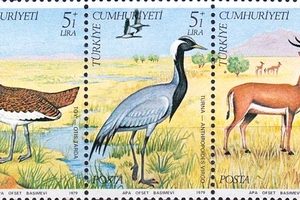 Yaban Hayatı Koruma 1979 Türkiye Posta Pulları - mezat.mezatcini.com'da!