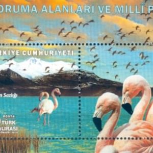 Doğa Koruma 2018 Türkiye Posta Pulları - mezat.mezatcini.com'da!