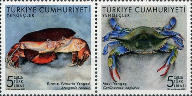 Fauna - Yengeçler 2022 Türkiye Posta Pulları - mezat.mezatcini.com'da! 1 Fauna - Yengeçler 2022 Türkiye Posta Pulları - mezat.mezatcini.com'da!