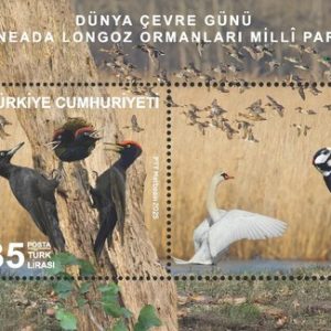 Dünya Çevre Günü - İğneada Selalesi Tabiat Parkı 2025 Türkiye Posta Pulları - mezat.mezatcini.com'da!