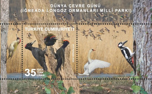 Dünya Çevre Günü - Igneada Deltası Parkı 2025 Türkiye Posta Pulları - mezat.mezatcini.com'da! 1 Dünya Çevre Günü - Igneada Deltası Parkı 2025 Türkiye Posta Pulları - mezat.mezatcini.com'da!