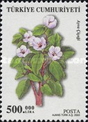 Çiçek Açan Ağaçlar 2003 Türkiye Posta Pulları - mezat.mezatcini.com'da!