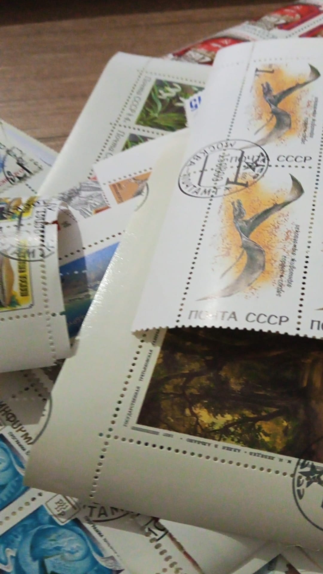 Cccp pul lotu 2 6 Cccp pul lotu 2 (2)