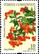 Flora - Meyveler 2011 Türkiye Posta Pulları - mezat.mezatcini.com'da!