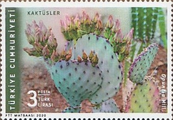 Flora - Kaktüs 2020 Türkiye Posta Pulları - mezat.mezatcini.com'da!