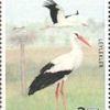 Kuşlar - Leylekler 2020 Türkiye Posta Pulları - mezat.mezatcini.com'da!