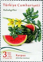 Karpuz 2021 Türkiye Posta Pulları - mezat.mezatcini.com'da!