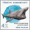Deniz Yaşamı - Köpekbalıkları 2021 Türkiye Posta Pulları - mezat.mezatcini.com'da!