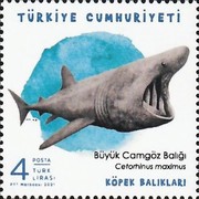 Deniz Yaşamı - Köpekbalıkları 2021 Türkiye Posta Pulları - mezat.mezatcini.com'da!