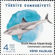 Deniz Yaşamı - Köpekbalıkları 2021 Türkiye Posta Pulları - mezat.mezatcini.com'da! 3