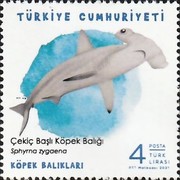 Deniz Yaşamı - Köpekbalıkları 2021 Türkiye Posta Pulları - mezat.mezatcini.com'da! 4