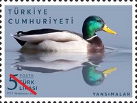 Yansımalar 2022 Türkiye Posta Pulları - mezat.mezatcini.com'da!