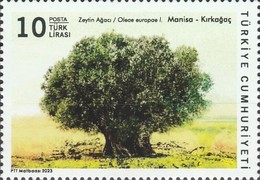 Anıt Ağaçlar 2023 Türkiye Posta Pulları - mezat.mezatcini.com'da!