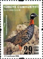 Kesintisiz - Kuşlar 2024 Türkiye Posta Pulları - mezat.mezatcini.com'da!
