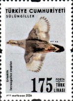 Definitifler - Kuşlar 2024 Türkiye Posta Pulları - mezat.mezatcini.com'da! 3