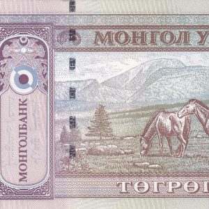 Mogolistan 100 Tugrik
