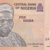 Nijerya 5 Naıra çil (1)