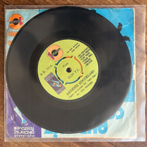 Akdeniz Çocukları 45'lik Plak