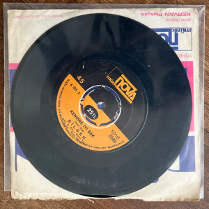 Bilgen Kendine İyi Bak 45'lik Plak