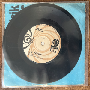 Biricik İşte Meydan 45'lik Plak