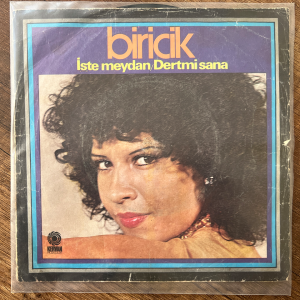 Biricik İşte Meydan 45'lik Plak