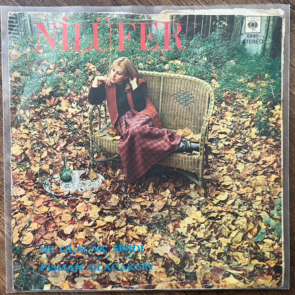 Nilüfer Ne Olacak Şimdi 45'lik Plak 1 nilufer 2 1