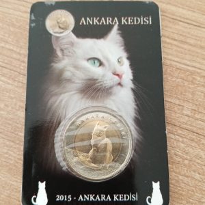 17619928482506743686378393435833