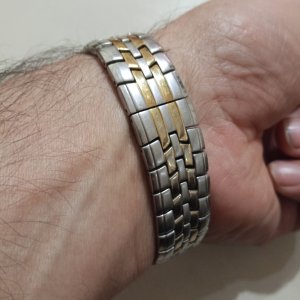 17623697003004234169261613668524