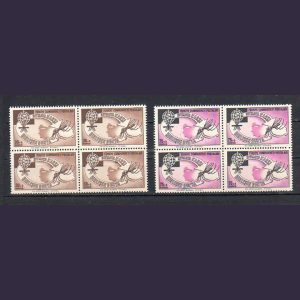 Tüm Ürünler 29 36 1 1.jpg