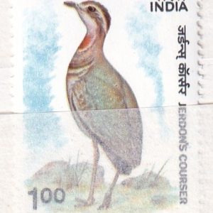 1988 Hindistan Yaban Hayatı Haftası pulu