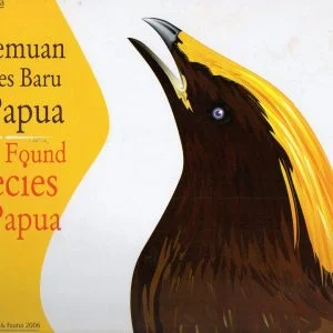 Tüm Ürünler 8 klikyayeni 274 1 rotated 2.jpg