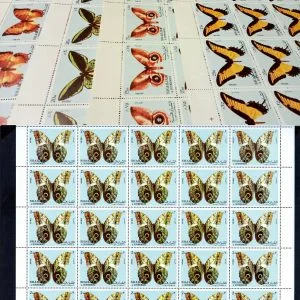 Tüm Ürünler 9 klikyayeni 275 1 1.jpg