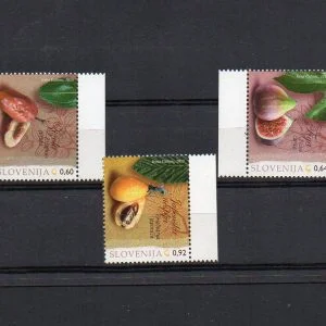 Tüm Ürünler 26 klikyayeni 292 1 1.jpg