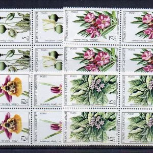 klikyayeni 61 1 1.jpg