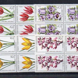 klikyayeni 62 1 1.jpg